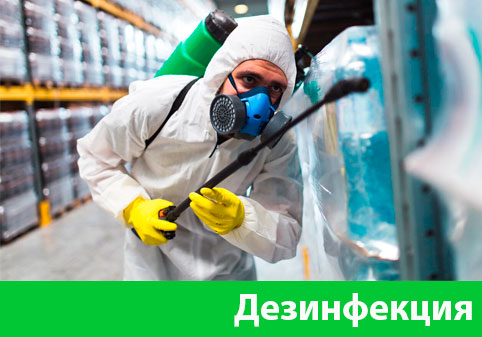 Дезинфекция в городе Артём